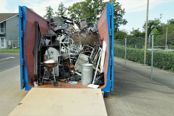 Yard Cleanup Services in Vinton, TX